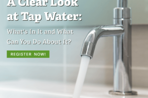 A Clear Look at Tap Water.